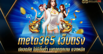 meta365 เว็บตรง