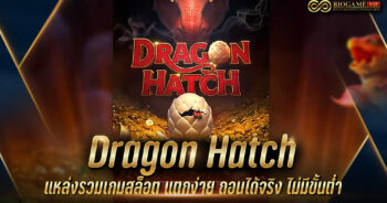 Dragon Hatch