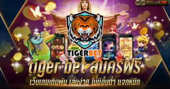 tiger bet